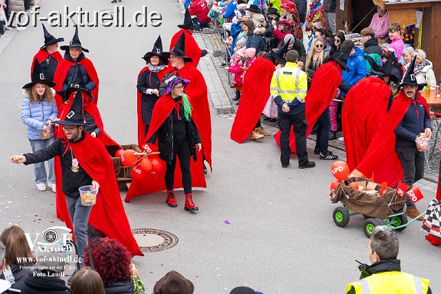 Foto Laudi_Pleintinger_Faschingszug-206041.jpg